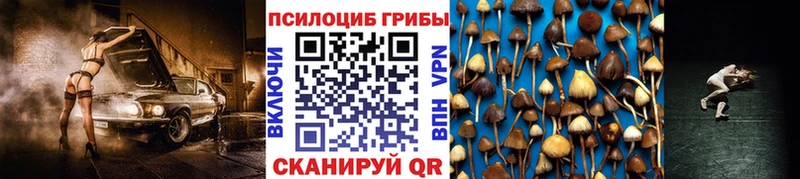 Псилоцибиновые грибы прущие грибы  Купить где  Протвино 